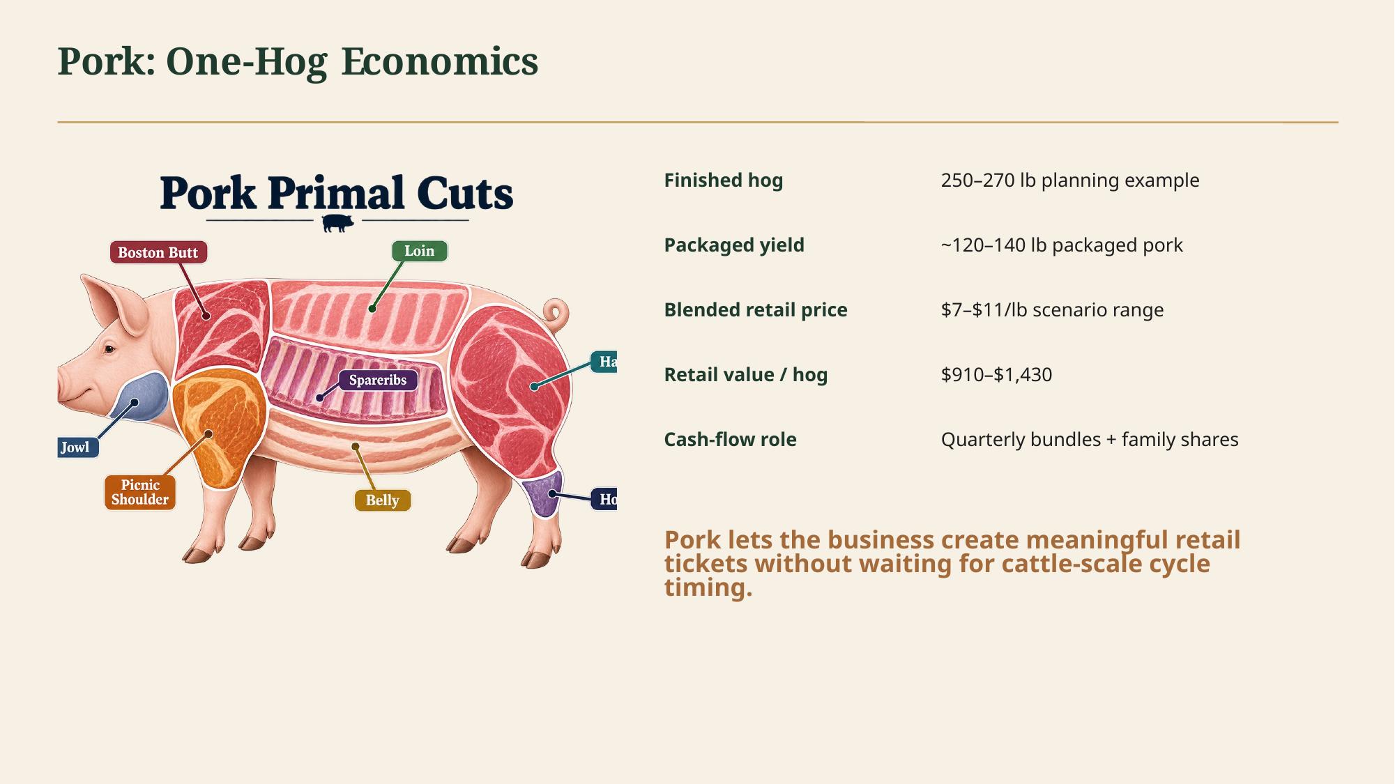 Investor pitch deck slide 7 of 19