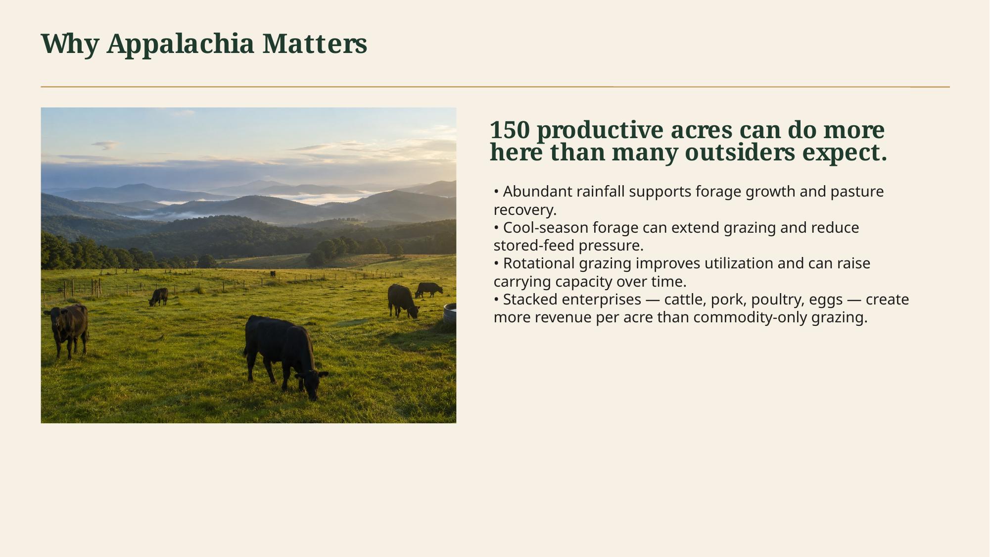 Investor pitch deck slide 15 of 19