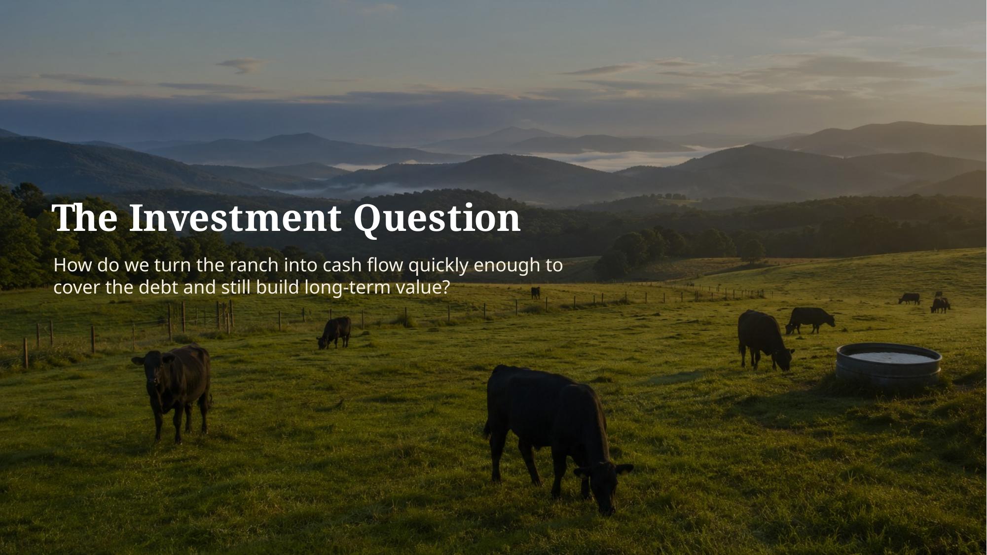 Investor pitch deck slide 3 of 19